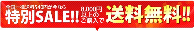 今だけ!キャンペーン中なら小型カメラが送料無料
